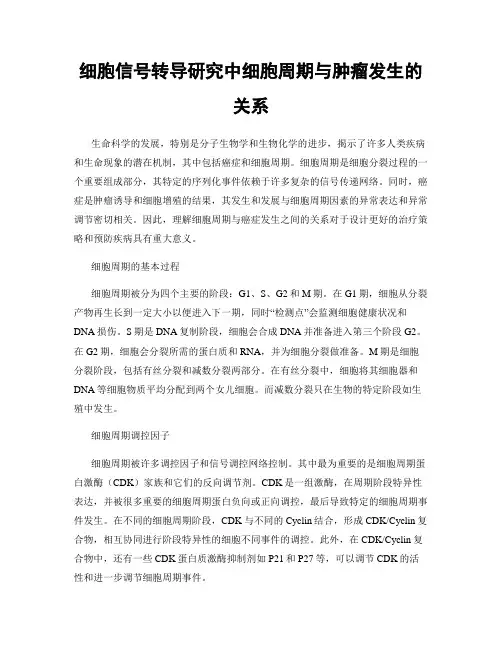 细胞信号转导研究中细胞周期与肿瘤发生的关系