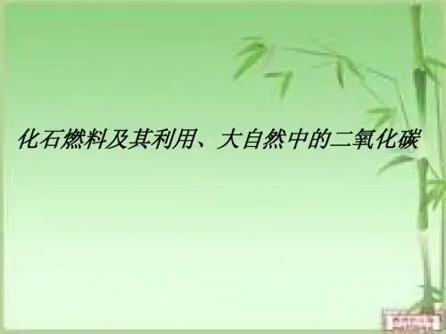 化石燃料及其利用、大自然中的二氧化碳