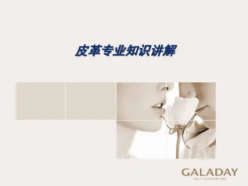 不能不知的皮革专业知识讲解
