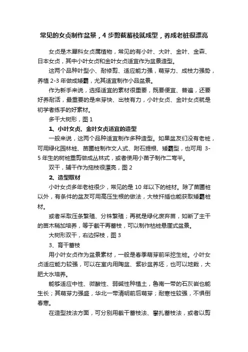 常见的女贞制作盆景，4步剪截蓄枝就成型，养成老桩很漂亮