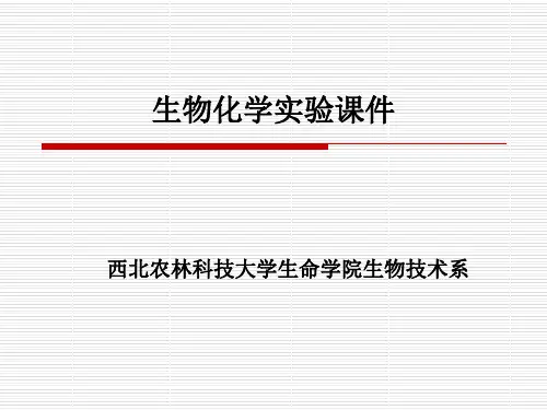 生物化学实验课件