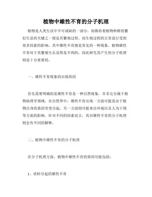 植物中雄性不育的分子机理