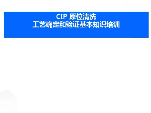CIP 原位清洗确认和验证