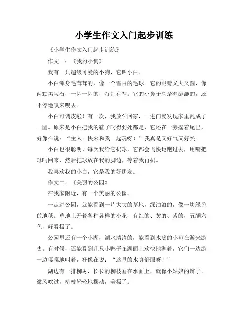 小学生作文入门起步训练