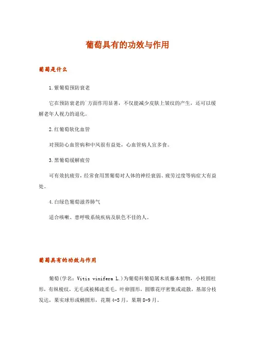 2024年葡萄具有的功效与作用