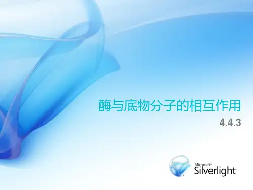 酶及底物分子的相互作用