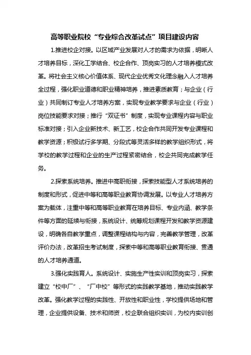 高等职业院校“专业综合改革试点”项目建设内容