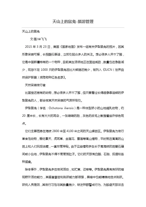 天山上的鼠兔