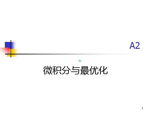 高级微观经济学课件_微积分与最优化