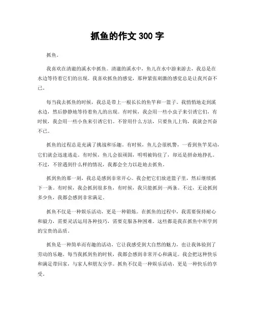 抓鱼的作文300字