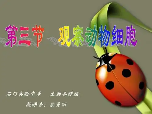 【ppt】观察动物细胞课件