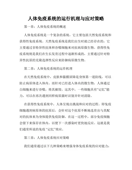 人体免疫系统的运行机理与应对策略