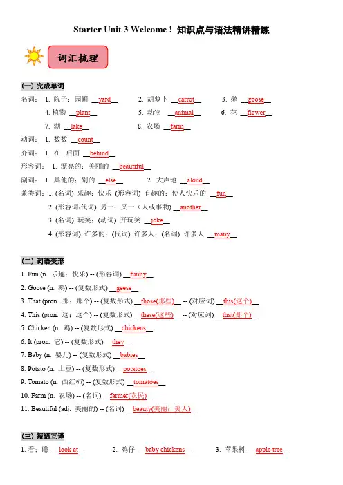 2024新人教版七年级上册英语Starter Unit 3知识点梳理及语法讲义(教师版)