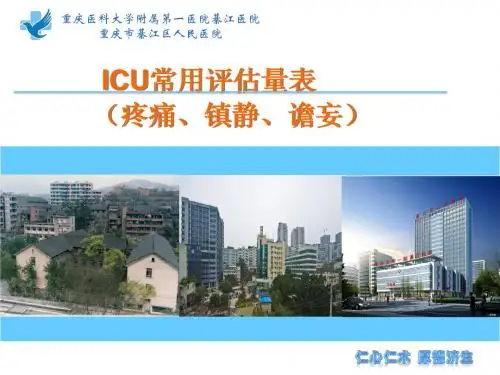 ICU常用评估工具(疼痛、镇静、谵妄)(徐智会)