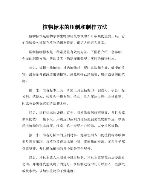 植物标本的压制和制作方法