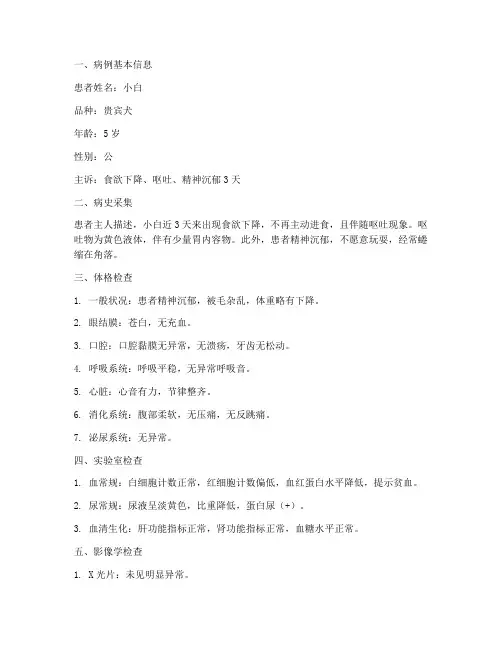 宠物诊所实习的病例报告