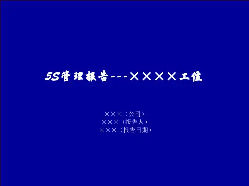5S管理改善报告(模板)