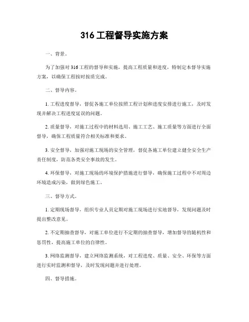 316工程督导实施方案