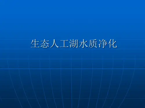 人工湖1