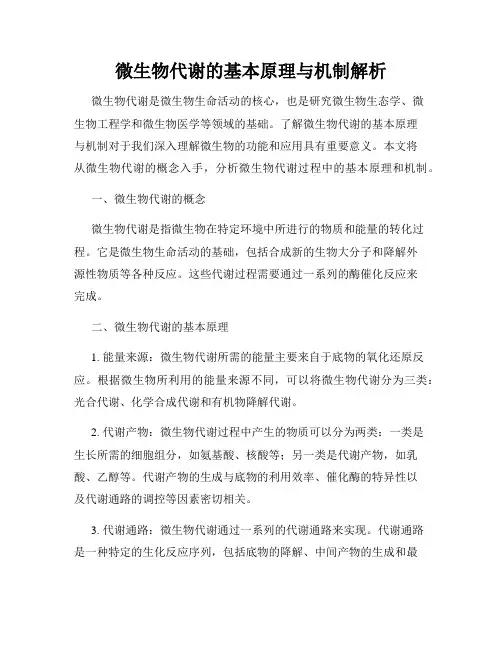 微生物代谢的基本原理与机制解析