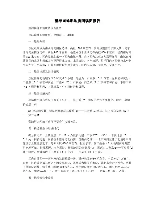望洋岗地形地质图读图报告
