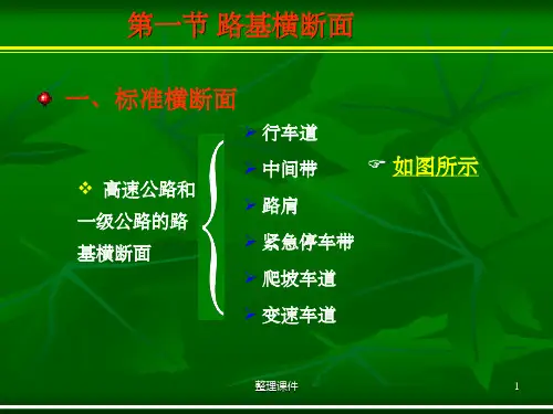 标准横断面与典型横断面