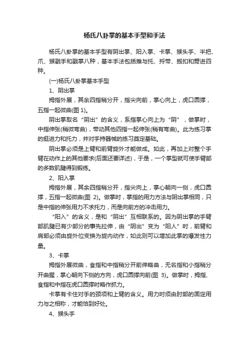 杨氏八卦掌的基本手型和手法