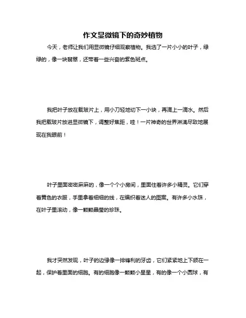 作文显微镜下的奇妙植物