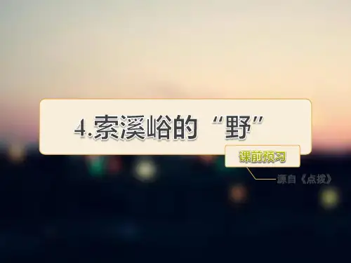 小学语文人教版六年级索溪峪的野预习授课作业