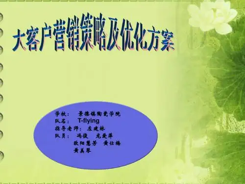 第三届物流设计大赛(顺丰杯)设计PPT--T FLYING