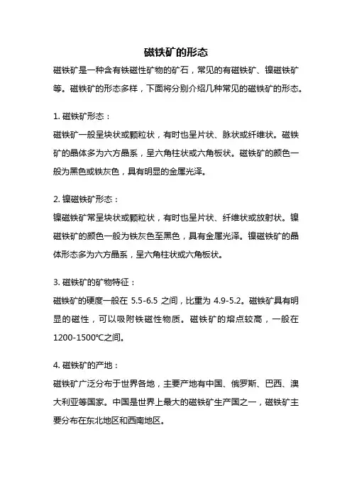 磁铁矿的形态