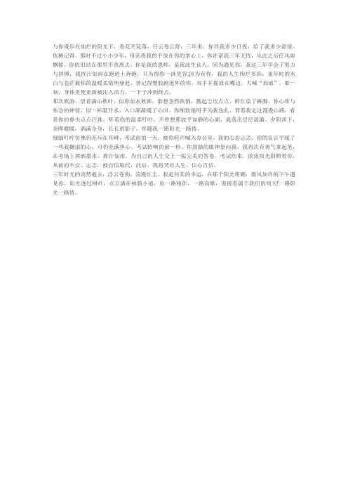 一路阳光 作文