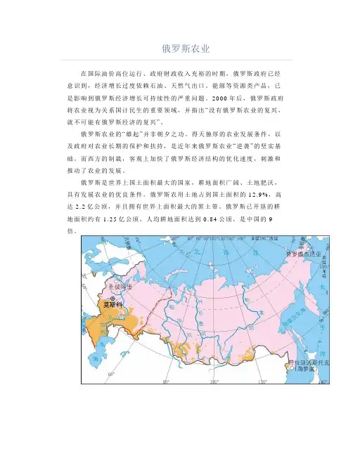 俄罗斯农业