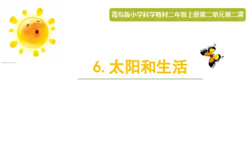 青岛版小学科学二年级上册《太阳和生活》