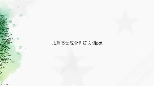 儿童感觉统合训练讲课文档