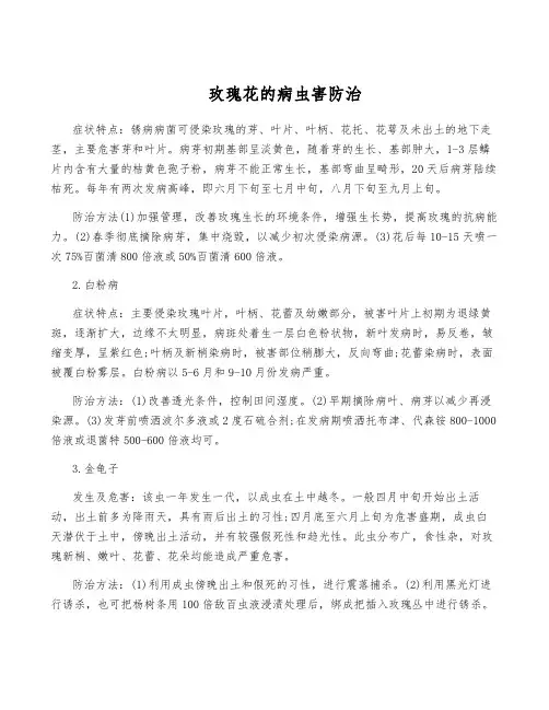 玫瑰花的病虫害防治