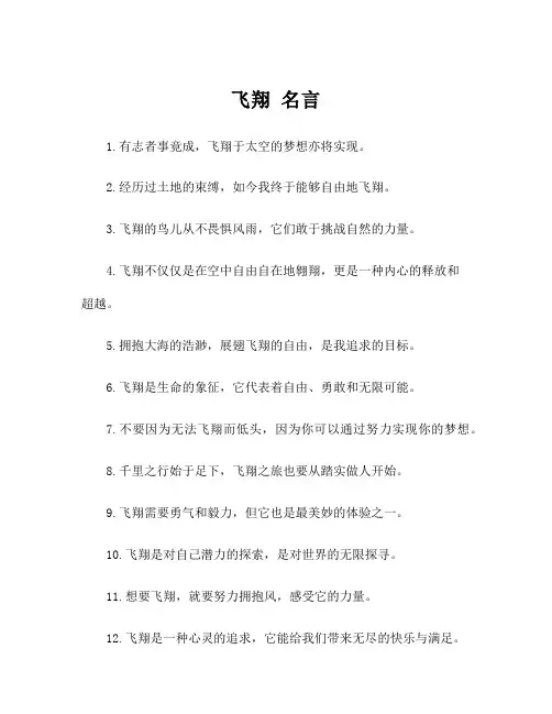 飞翔 名言