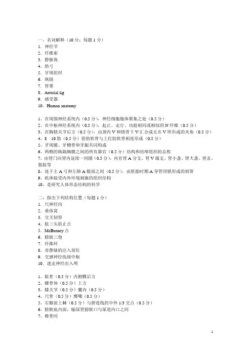 系解试题及答案
