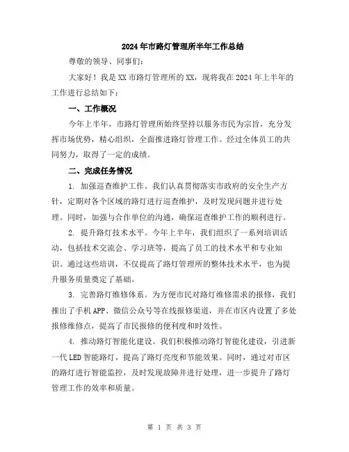2024年市路灯管理所半年工作总结