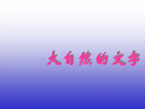 《大自然的文字》课件