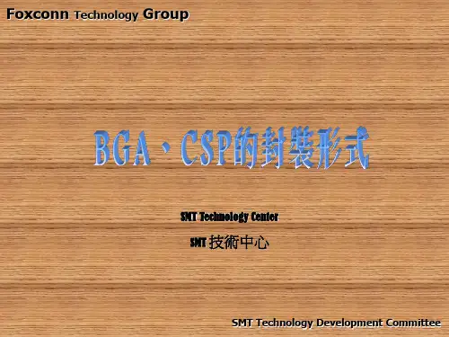 BGA、CSP的封装形式 