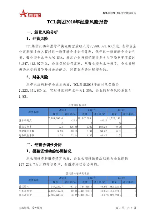 TCL集团2018年经营风险报告-智泽华