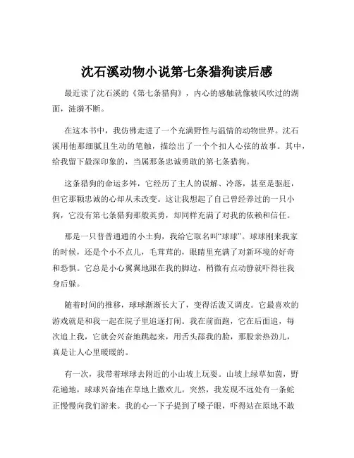 沈石溪动物小说第七条猎狗读后感