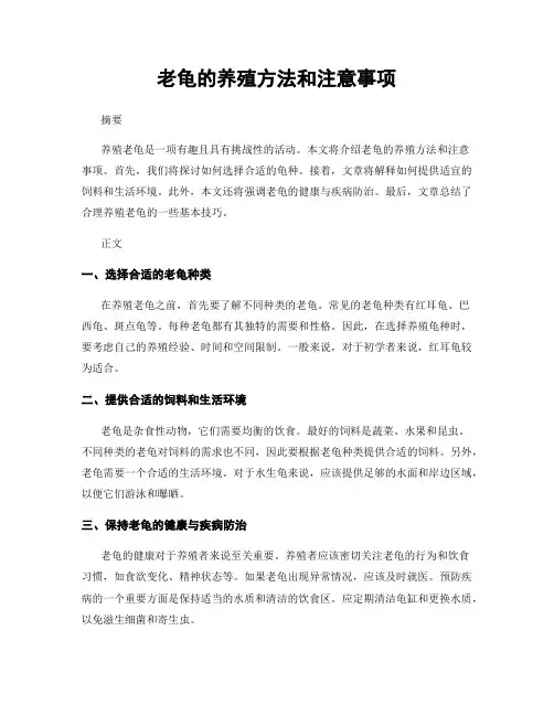 老龟的养殖方法和注意事项
