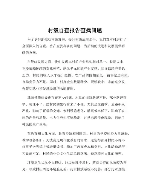 村级自查报告查找问题