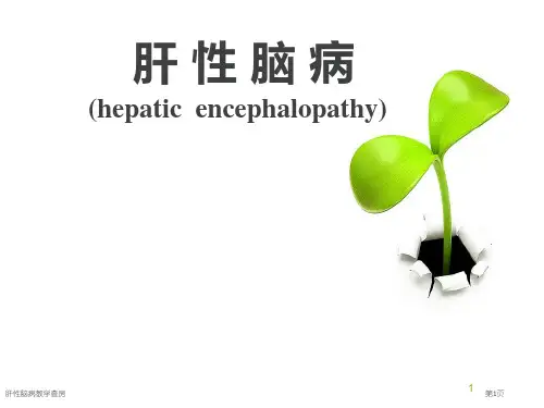 肝性脑病教学查房