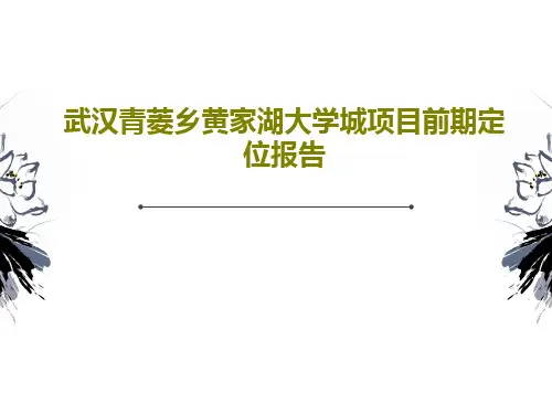 武汉青菱乡黄家湖大学城项目前期定位报告共140页文档