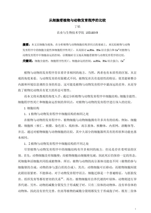 从细胞看植物与动物发育程序的比较