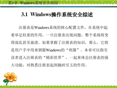 精选信息安全原理与实践教程第3章