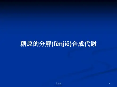 糖原的分解合成代谢学习教案